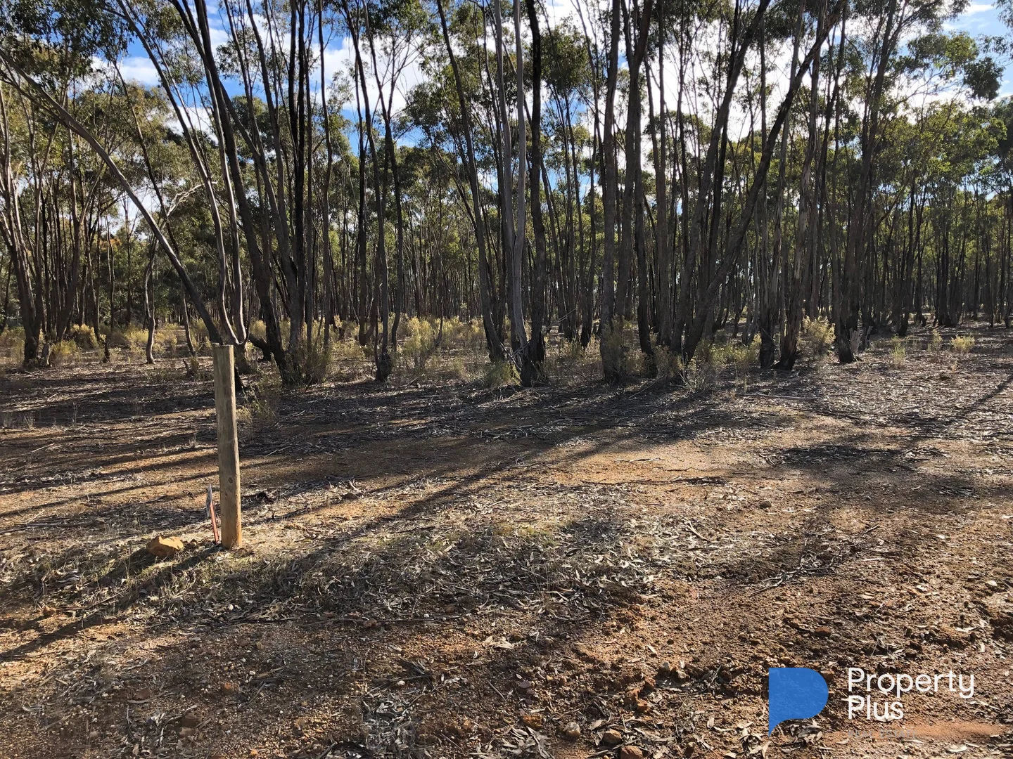 Additional image 4 of 59 Palmer Road, Simson VIC 3465