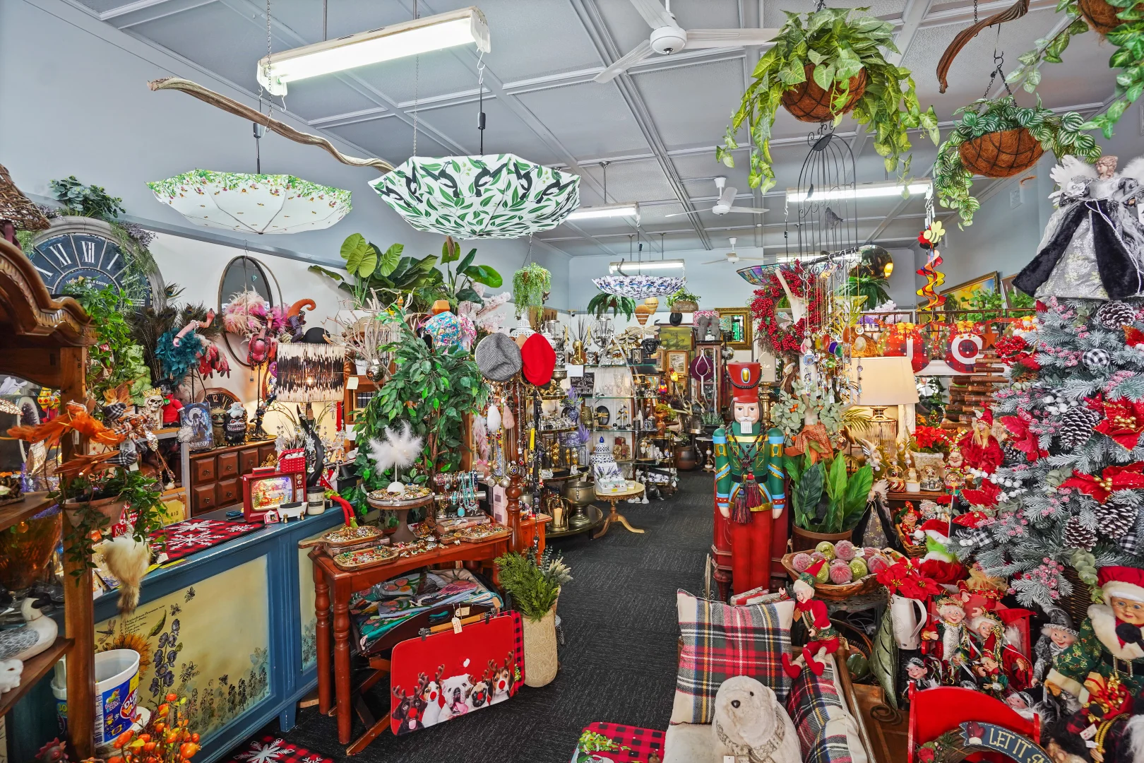 Additional image 10 of 45 Gaskill Street, Canowindra NSW 2804