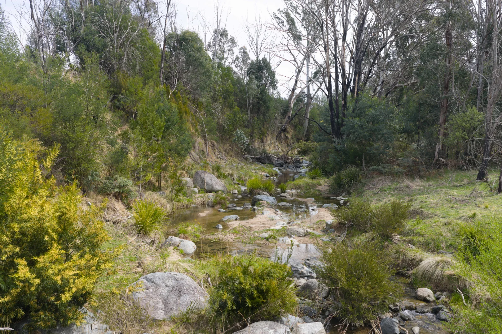 Additional image 7 of 2845 Mount Darragh Road, Wyndham NSW 2550