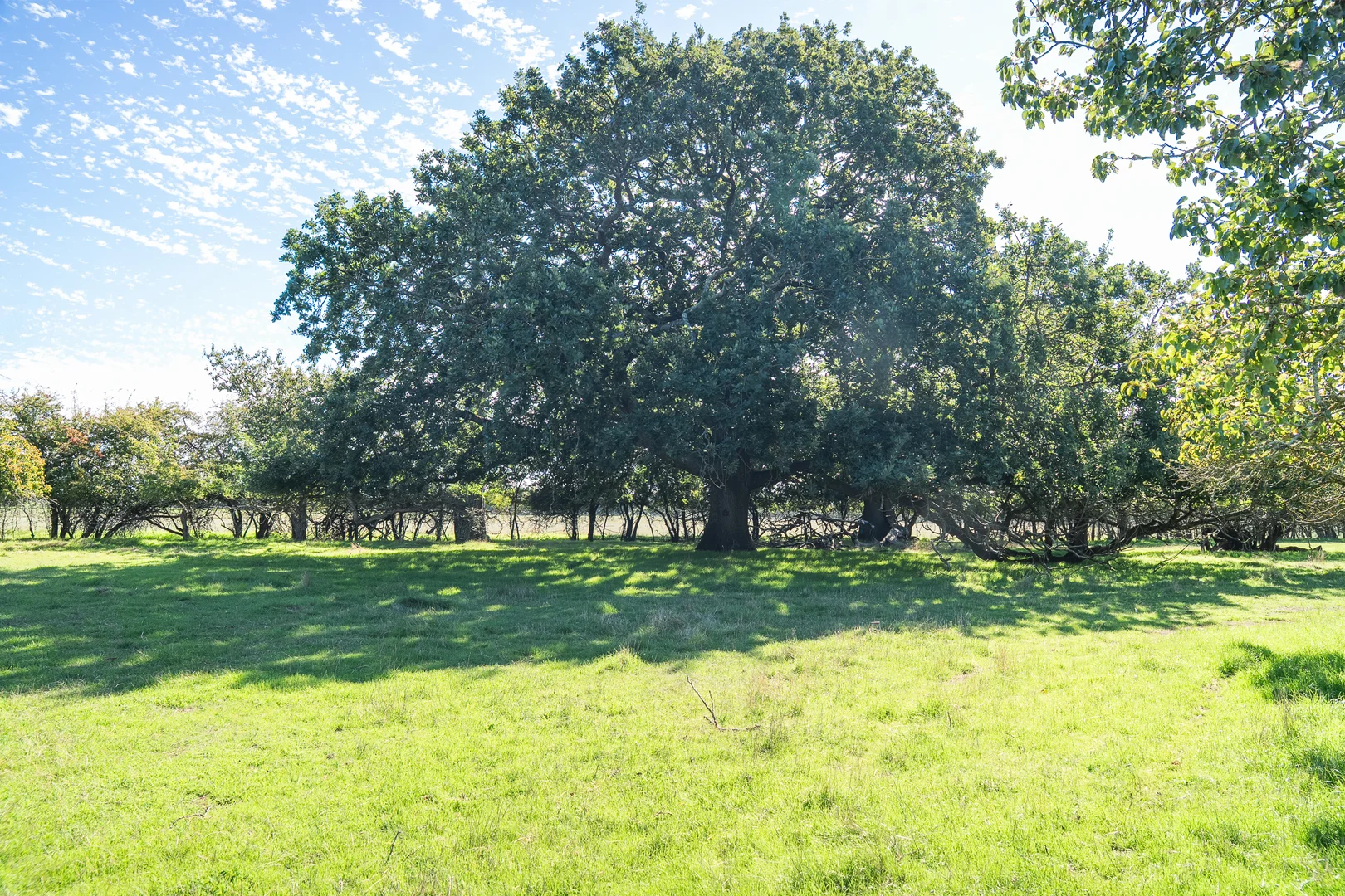 Additional image 25 of 'Hawthorn Park' 83 Sheehans Road, Romsey VIC 3434