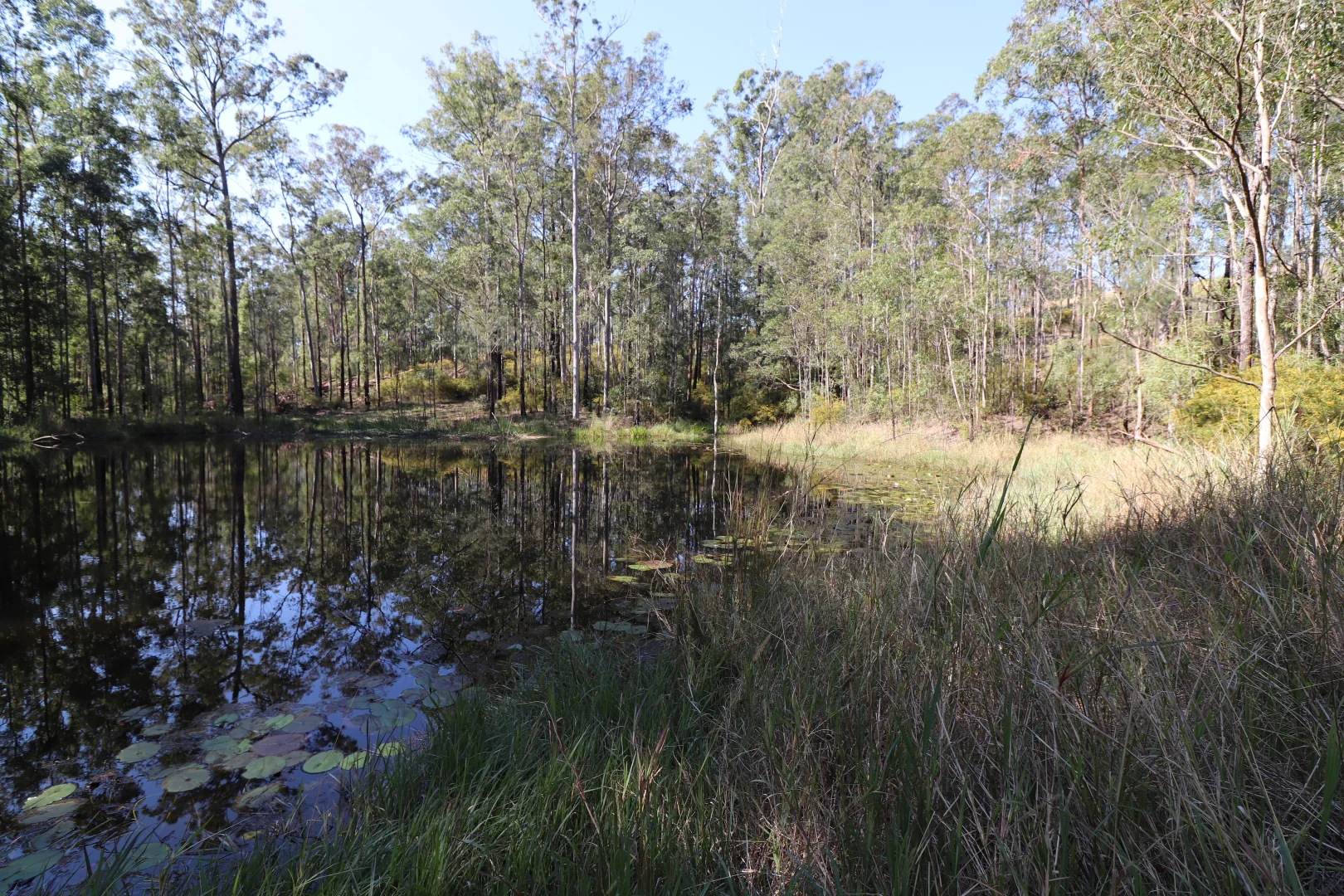 Additional image 15 of Lot 41 Collombatti Road, Collombatti NSW 2440