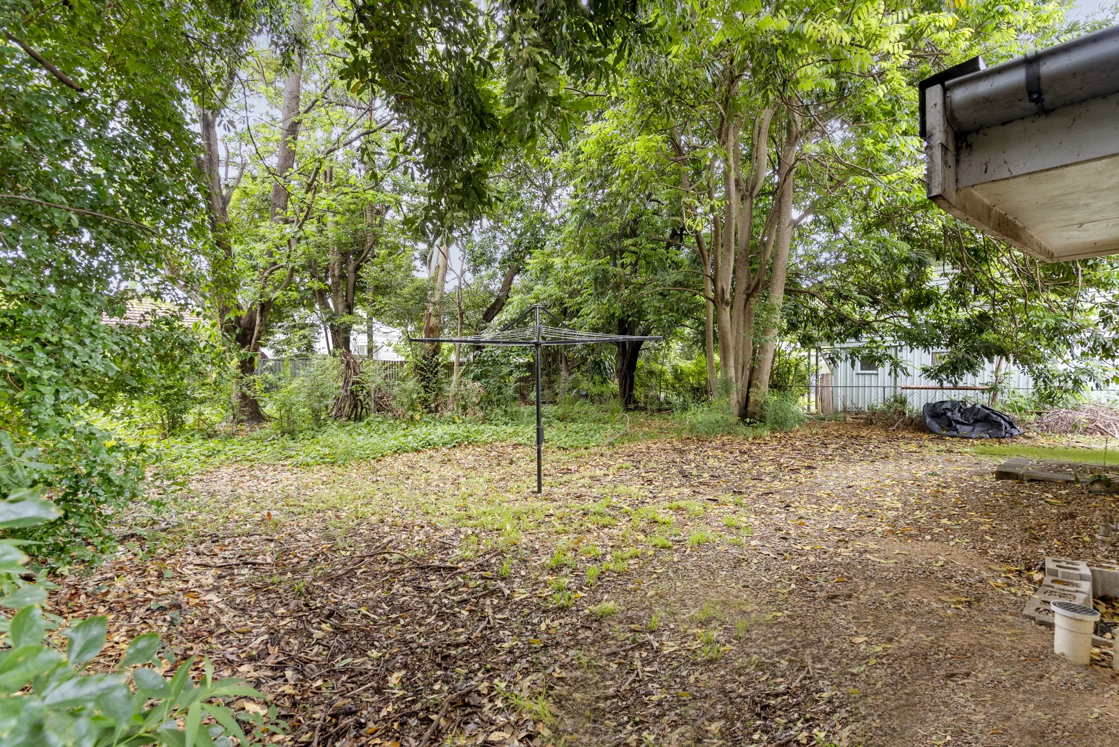 Additional image 10 of 24 Badger Street, Newmarket QLD 4051