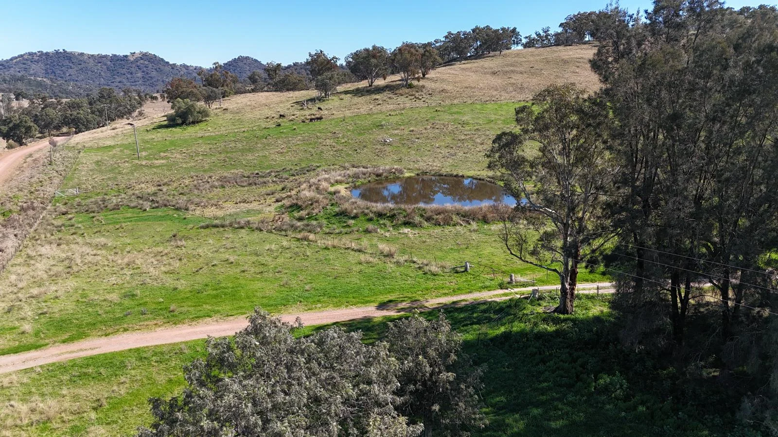 Additional image 42 of 2991 Halls Creek Road, Halls Creek NSW 2346