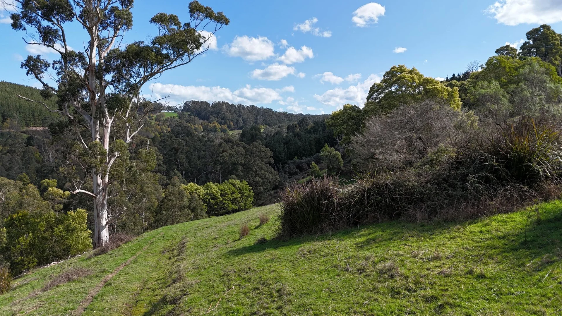 Additional image 8 of 141 BUNDERRA DRIVE, Boolarra VIC 3870