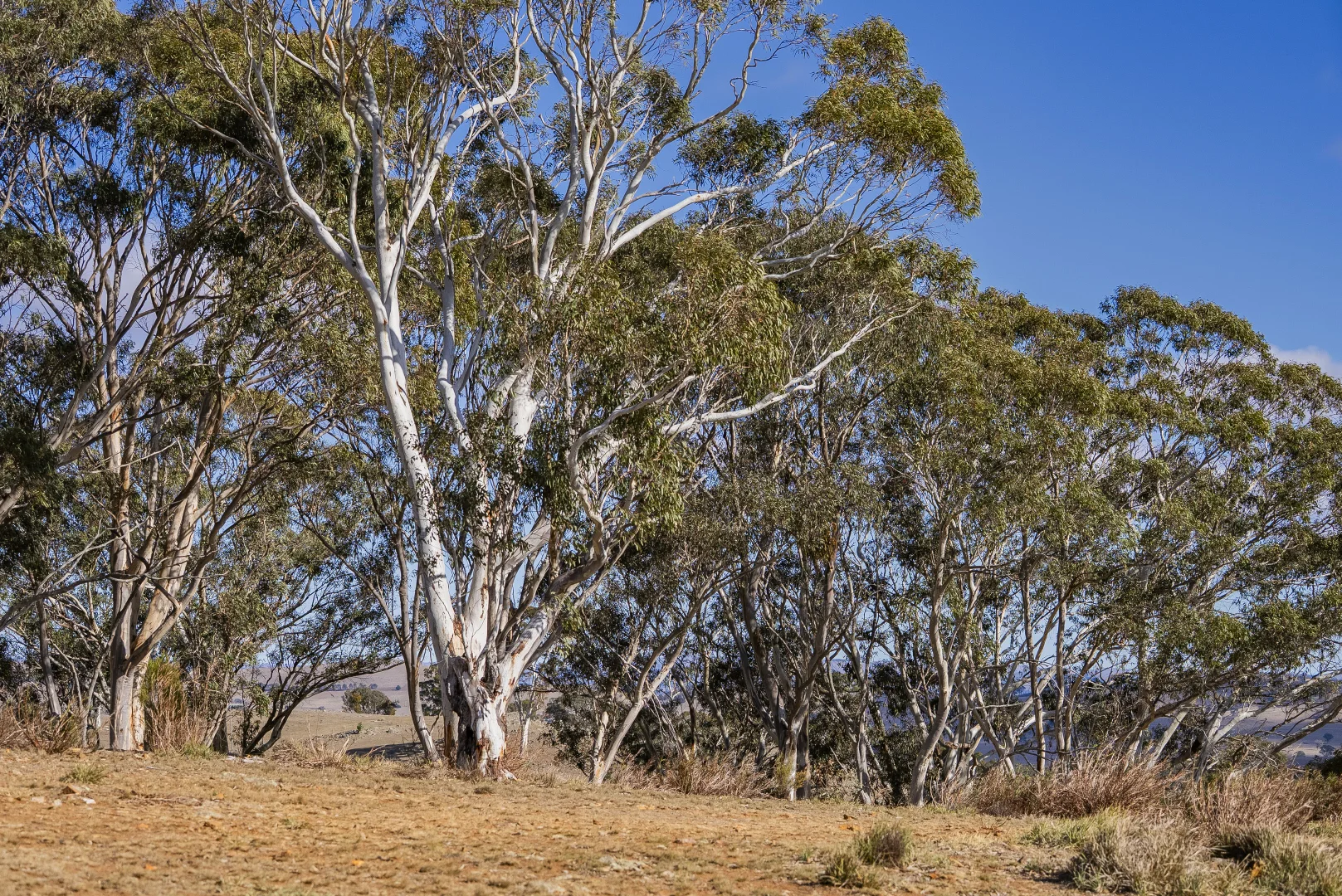 Additional image 6 of 712 Sheldricks Lane, Yass NSW 2582