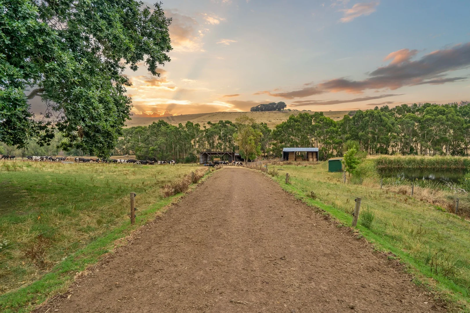 Additional image 14 of 170 Cobden Port Campbell Road, Scotts Creek VIC 3267