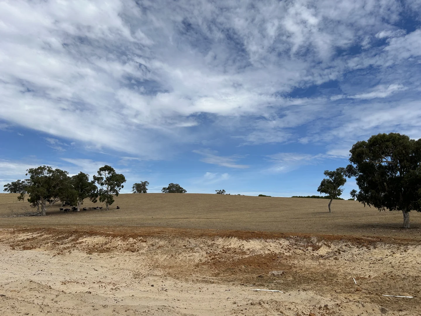 Additional image 4 of Lot 189 and 323 Roy Lawries Road, Lochaber SA 5271