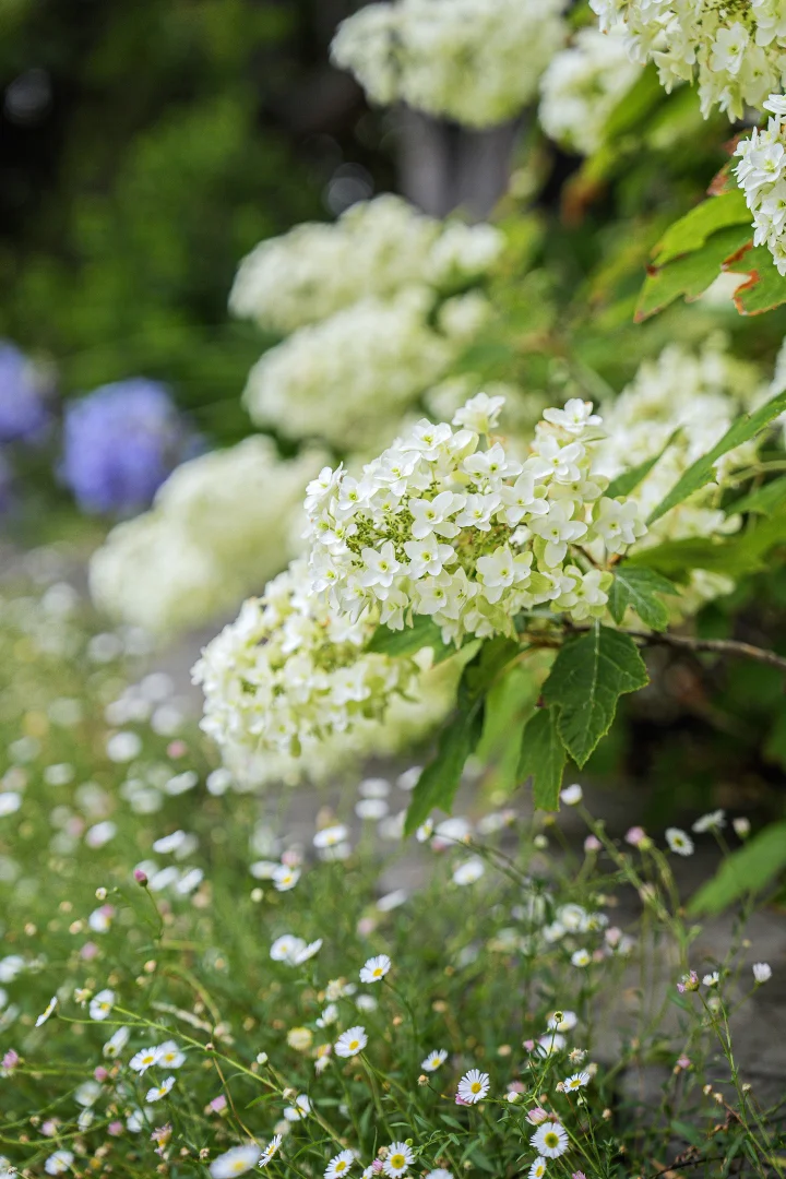 Additional image 23 of 349 Union Road, Balwyn VIC 3103