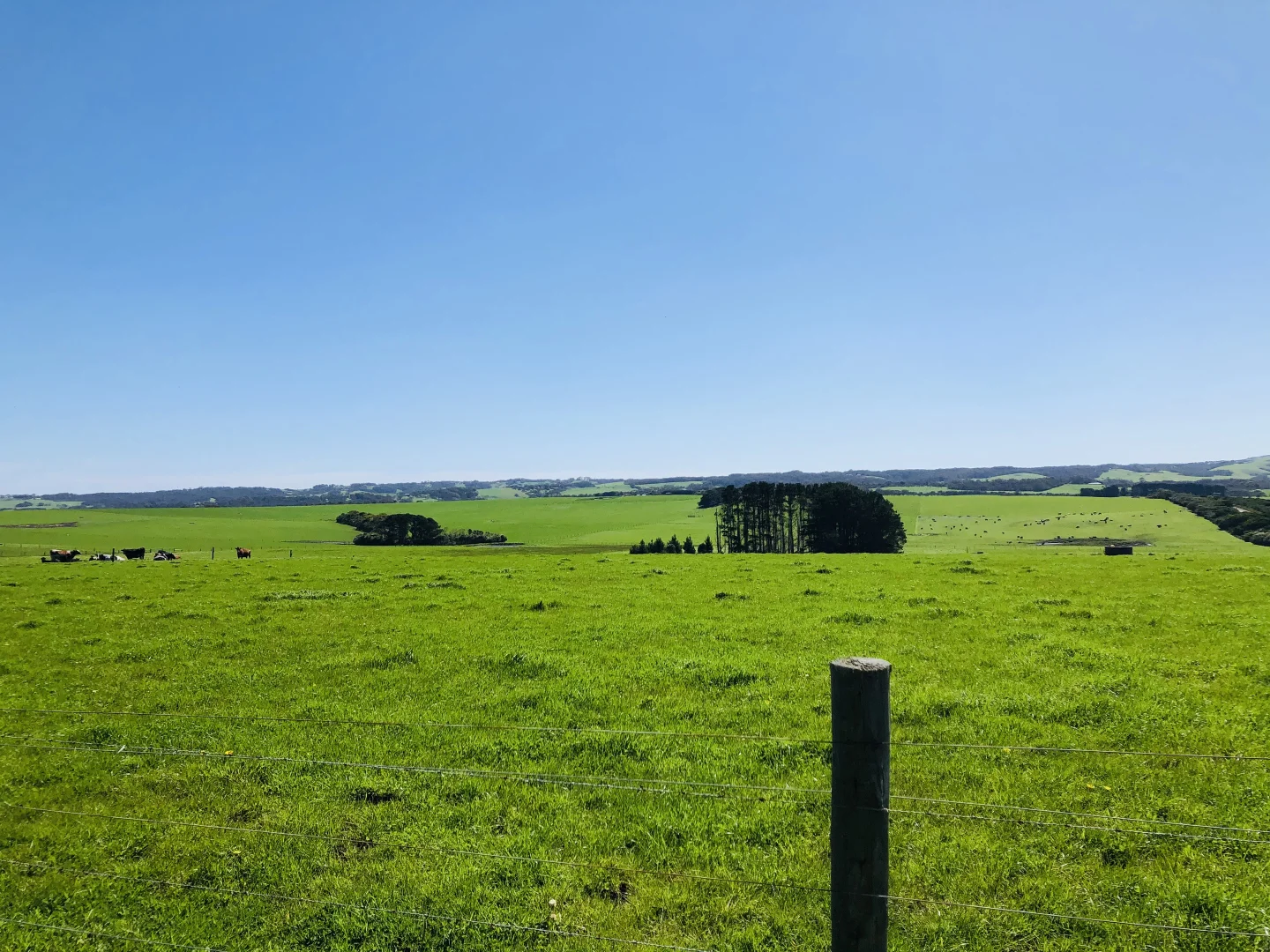 Additional image 24 of 2988 Meeniyan-Prom Rd, Yanakie VIC 3960