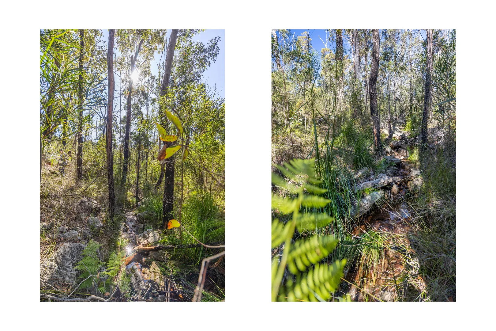 Additional image 4 of Lot 6 of Lot 33 Little Forest Road, Little Forest NSW 2538