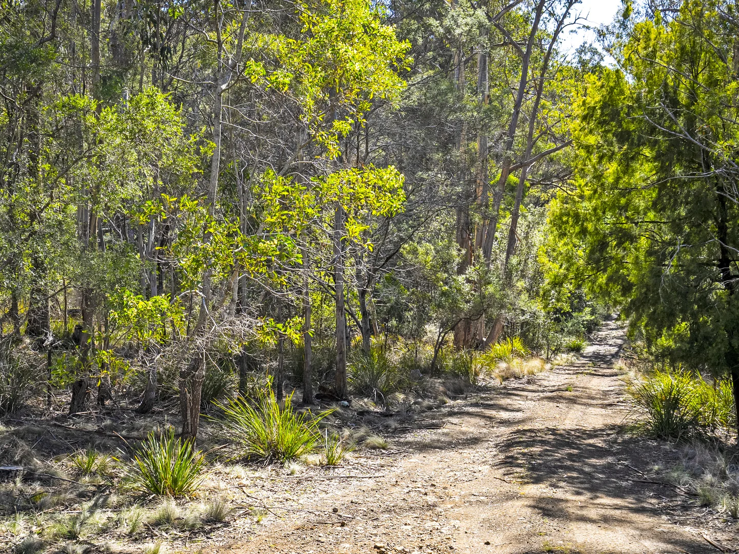 Additional image 13 of 196 Alma Road, Orford TAS 7190