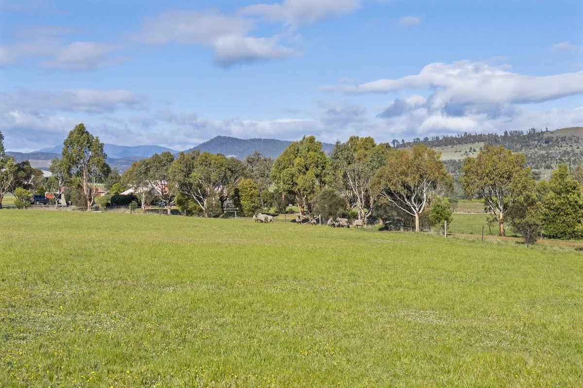 Additional image 17 of 151 Prossers Road, Richmond TAS 7025