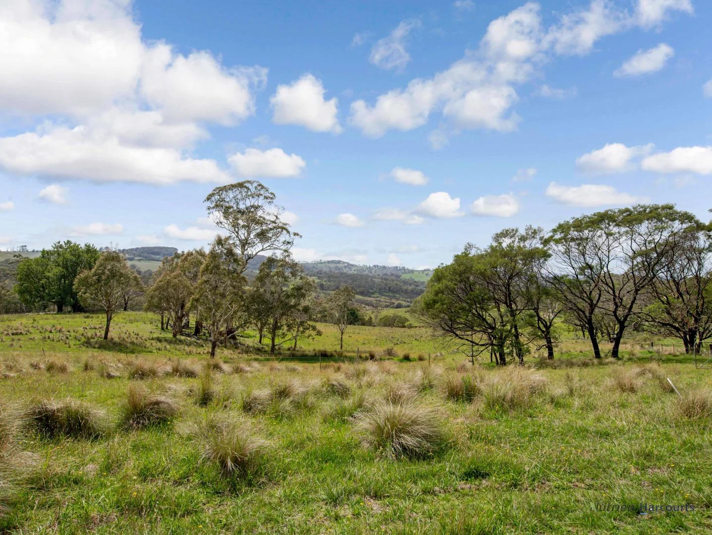 Additional image 37 of 106 Cawthornes Lane, Braidwood NSW 2622