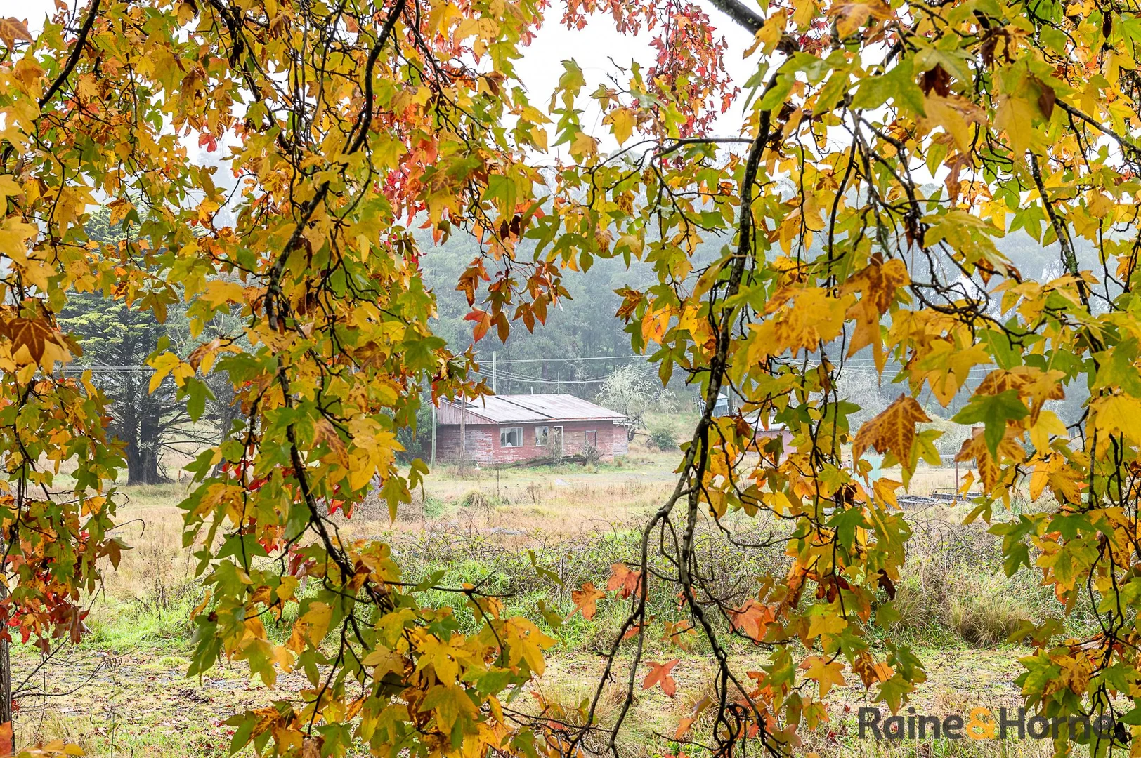 Additional image 11 of 4833 Brackendale Road, Nowendoc NSW 2354