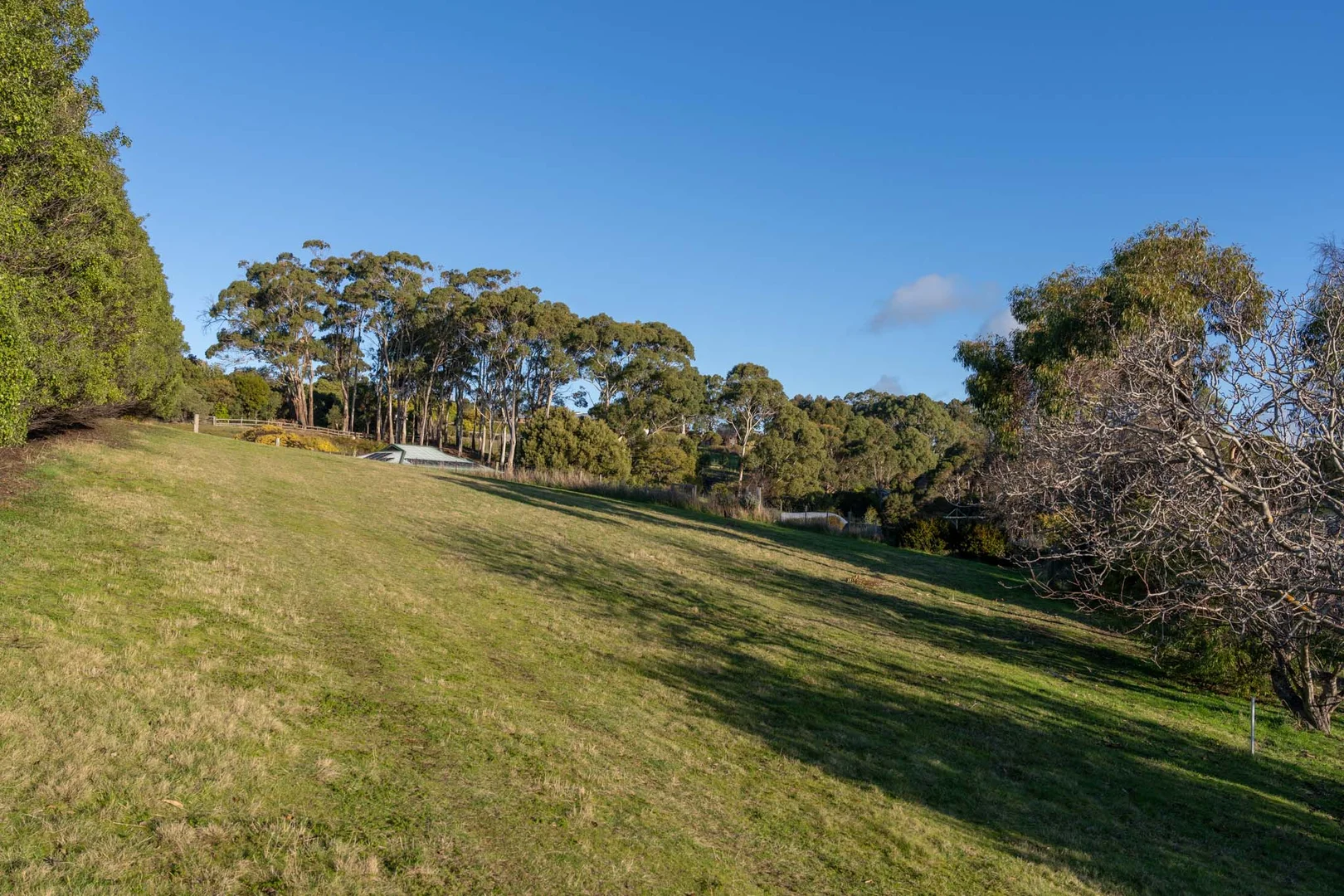 Additional image 13 of 18 Alexander Street, Leith TAS 7315