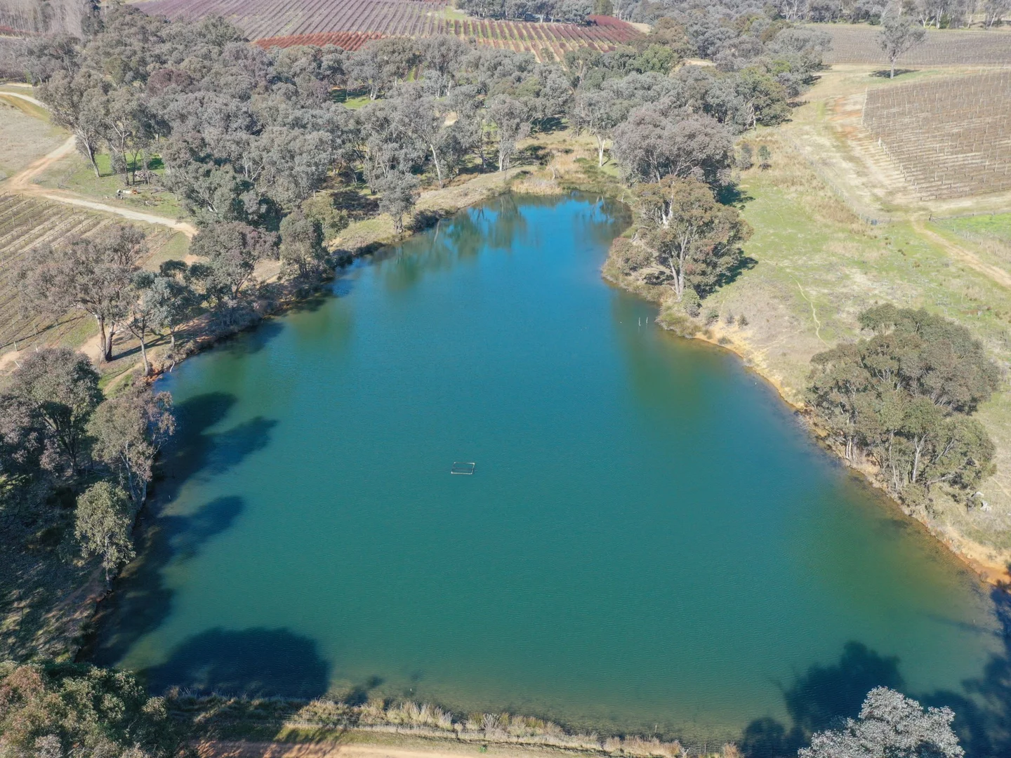 Additional image 11 of 155 Tierneys Road, Young NSW 2594