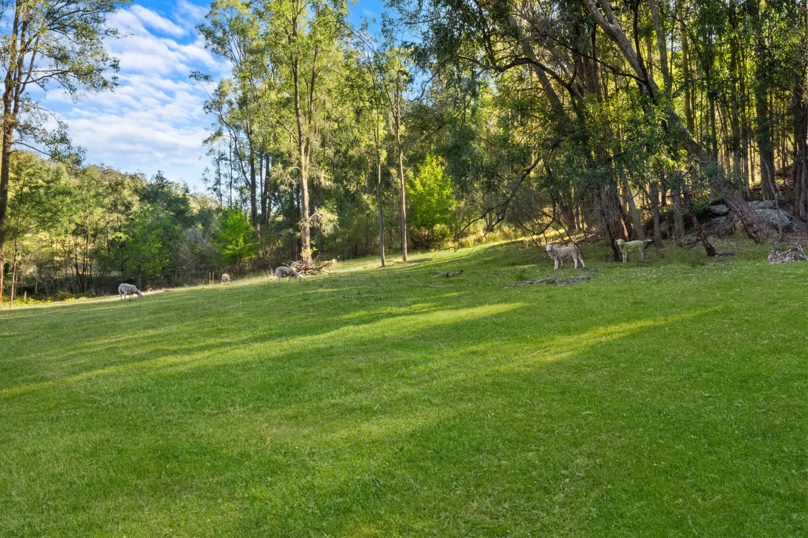Additional image 27 of 190 Burnt Arm Road, Putty NSW 2330