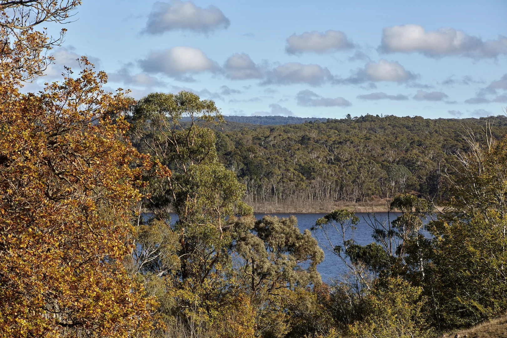 Additional image 17 of 233 Ross Watt Road, Gisborne VIC 3437