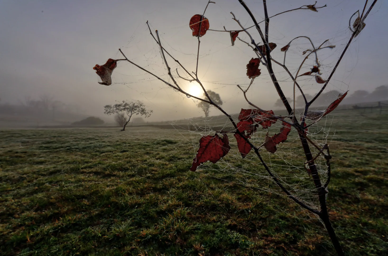 Additional image 7 of 102 Market Street, Rockley NSW 2795