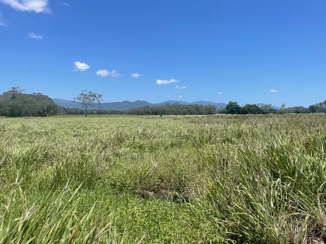 Additional image 7 of 12 Pine Creek - Yarrabah Road, East Trinity QLD 4871