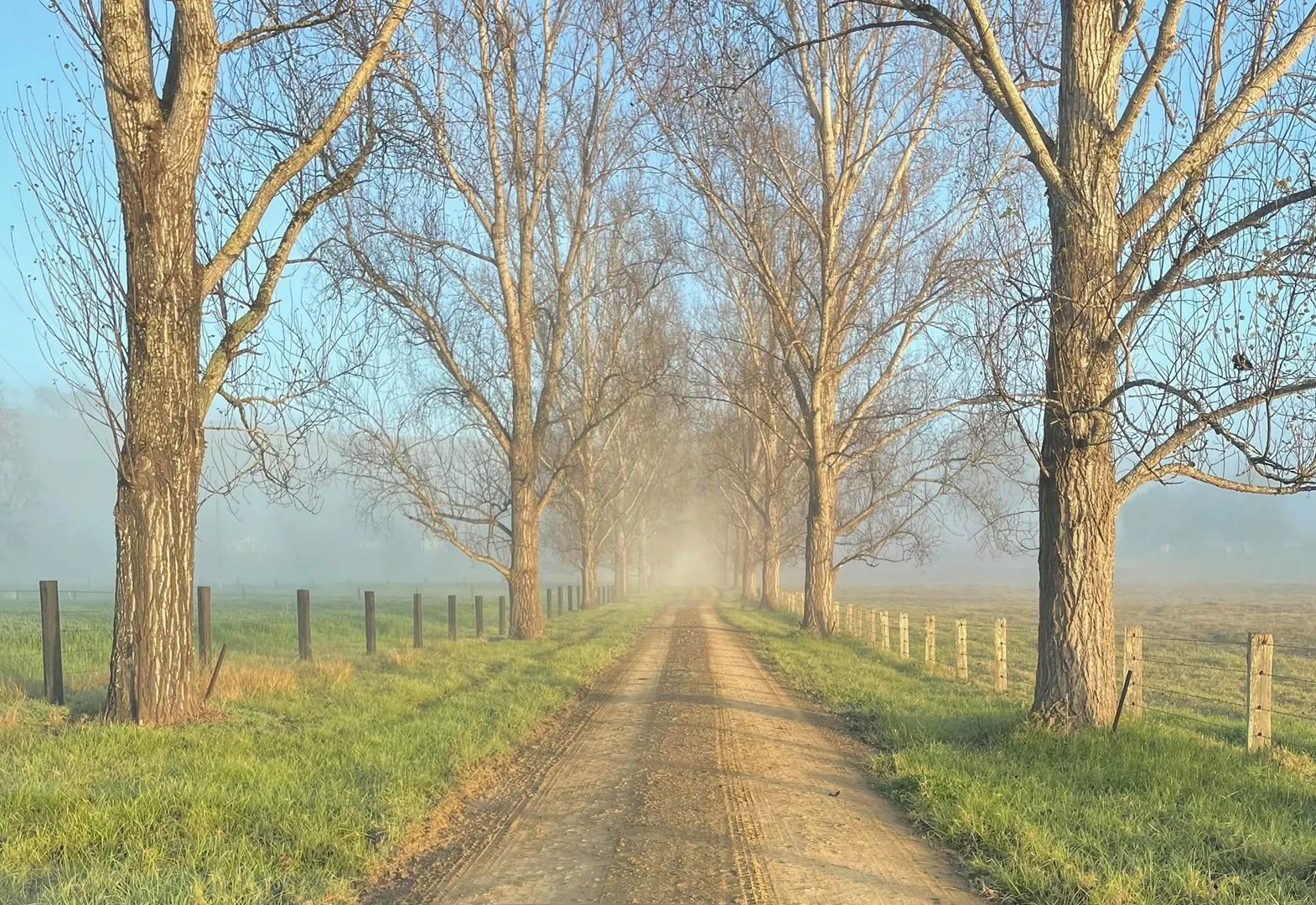 Additional image 5 of 1301 Chichester Dam Road, Bandon Grove, Via, Dungog NSW 2420