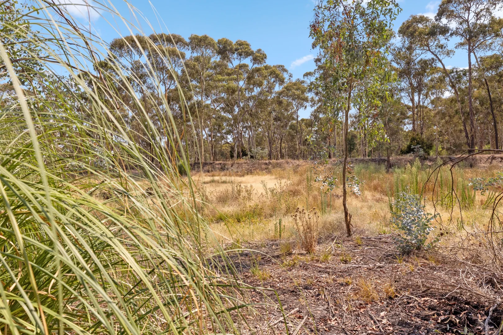 Additional image 4 of 16-20 Williams Road, Myers Flat VIC 3556