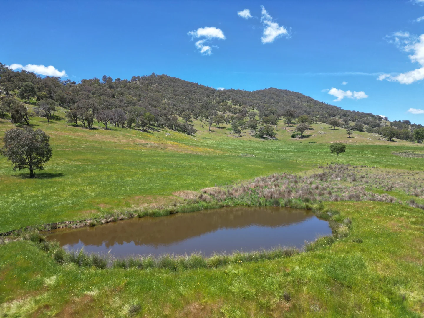 Additional image 11 of 1, Sec 19, "The Bloc Murray Valley Highway, Bullioh VIC 3700