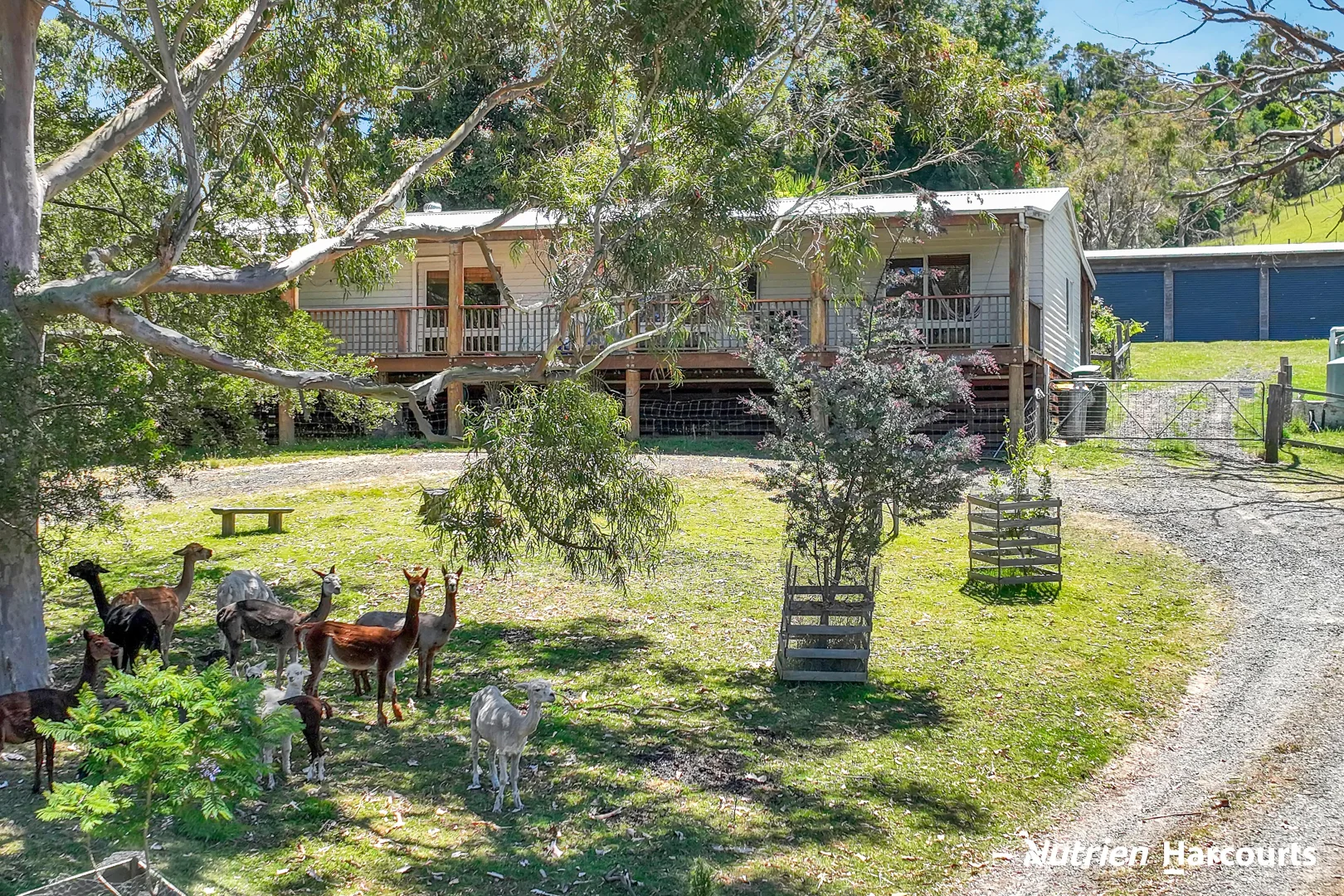 Additional image 19 of 1704 Tarra Valley Road, Tarra Valley VIC 3971