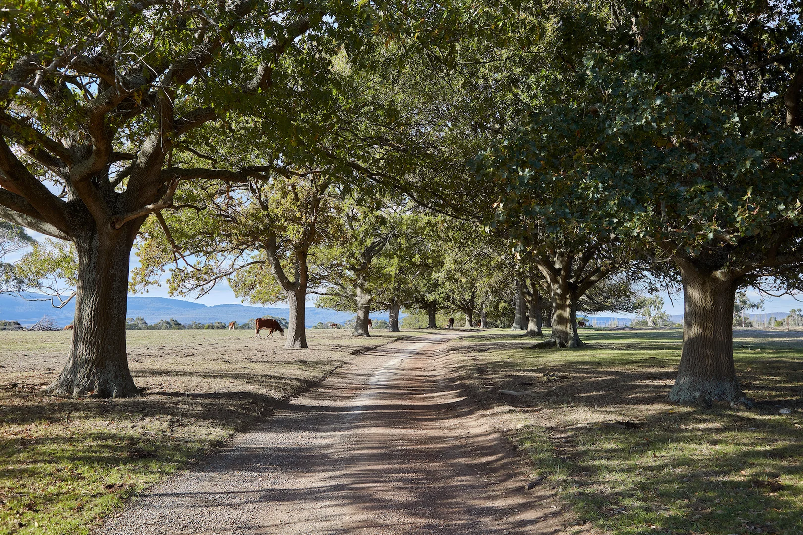 Additional image 14 of 233 Ross Watt Road, Gisborne VIC 3437