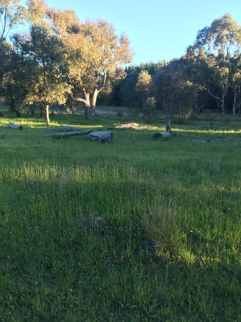 Additional image 16 of 560 Collector Road, Gunning NSW 2581