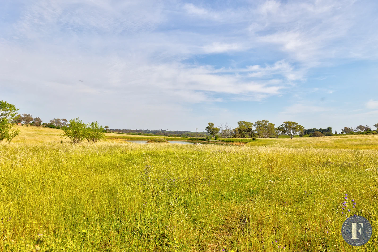 Additional image 18 of 6 Campbells, Road, Young NSW 2594