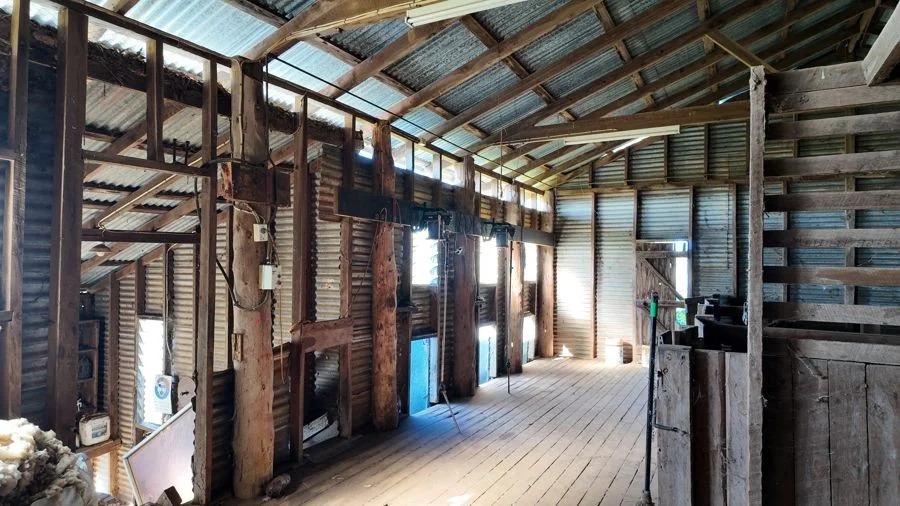 Additional image 9 of 125-291 GOORIANAWA ROAD, Mount Tenandra NSW 2828