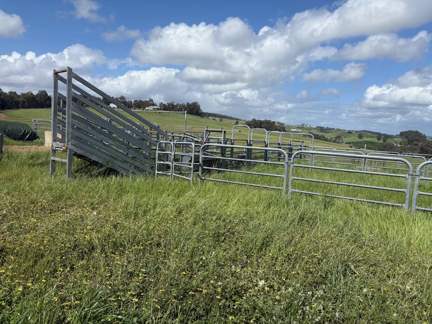 Additional image 4 of Lot 72 Beelerup Road, Beelerup WA 6239