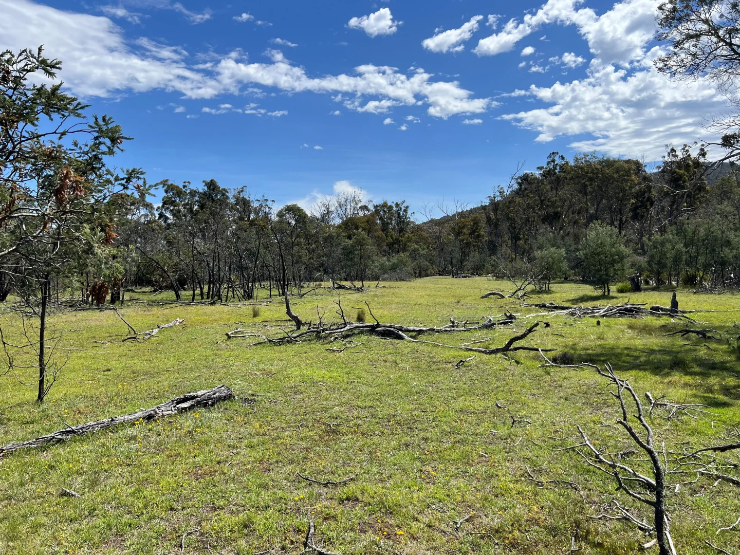 Additional image 11 of 3 Leona Road, Avoca TAS 7213