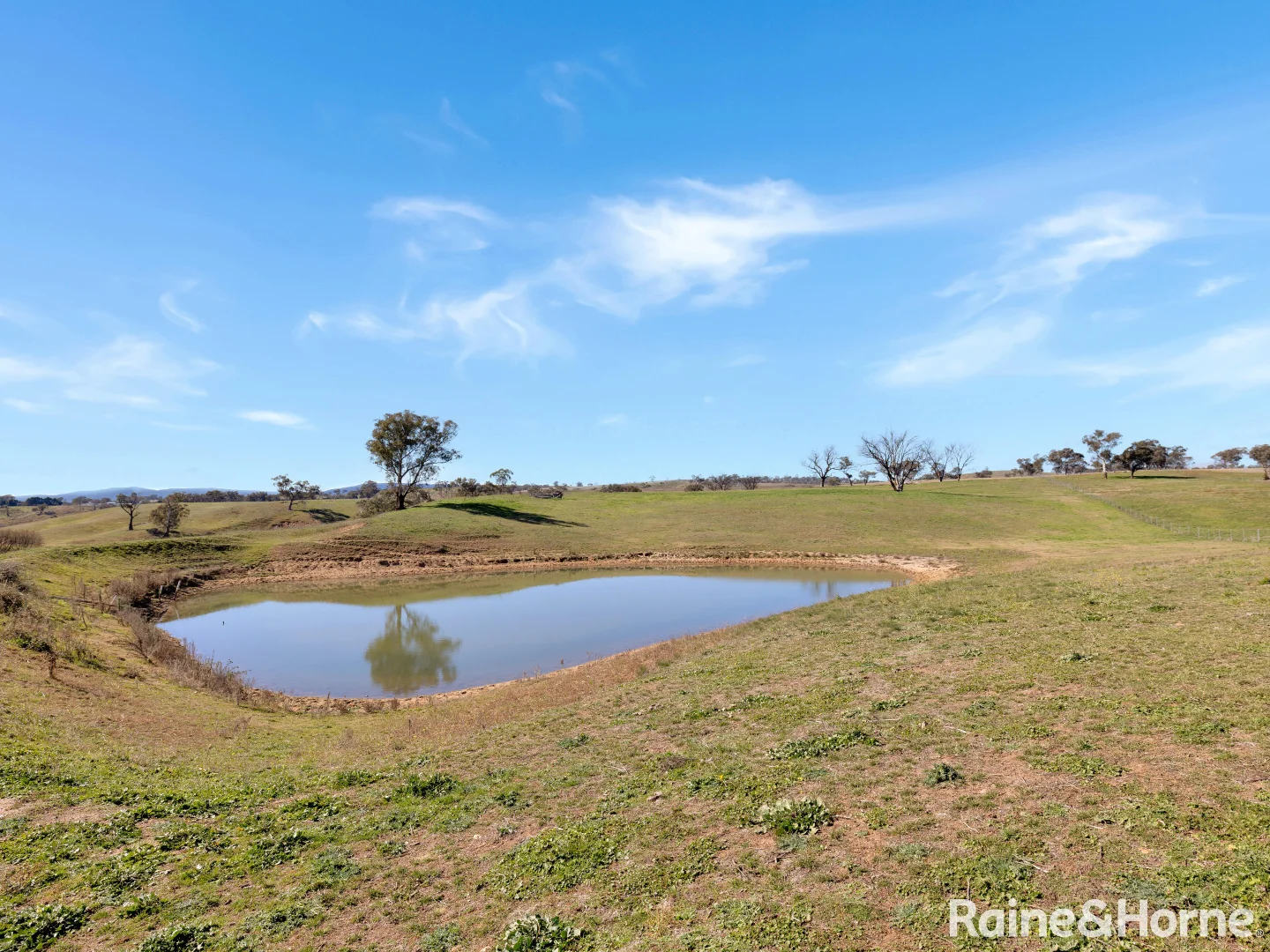 Additional image 16 of 1106 O'Connell Plains Road, The Lagoon NSW 2795