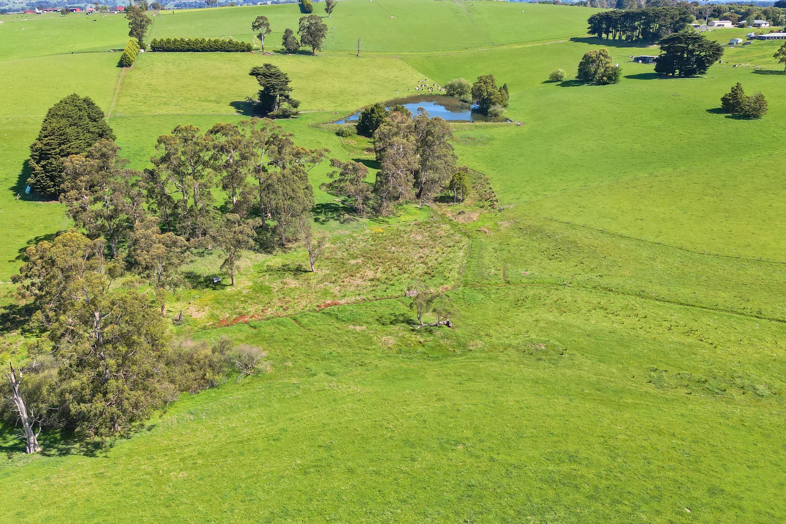 Additional image 6 of 300 Korumburra Warragul Road, Warragul VIC 3820