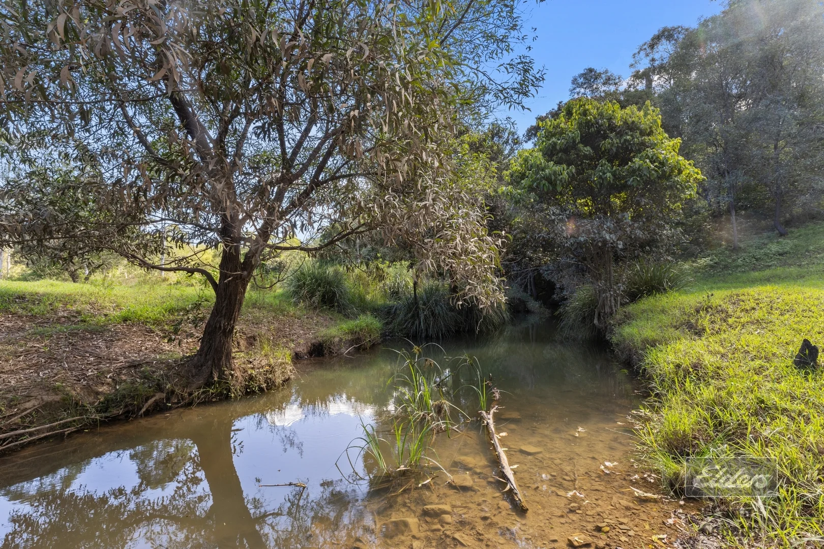 Additional image 15 of 709 Glen Echo Road, Glen Echo QLD 4570