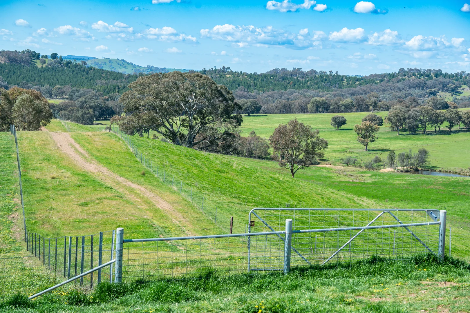 Additional image 17 of 13759 Hume Highway, Mullengandra NSW 2644