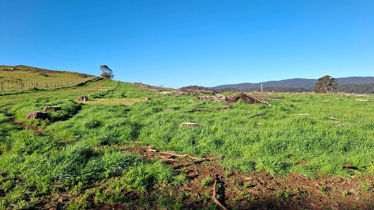 Additional image 16 of 108 Weeks Road, Barrington TAS 7306