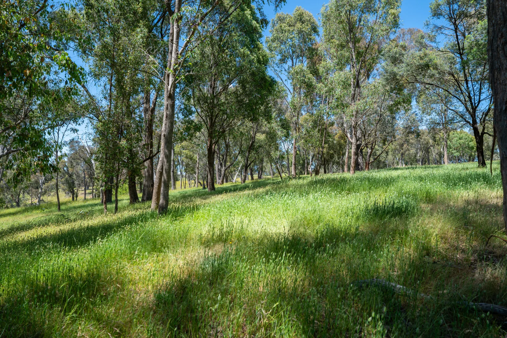 Additional image 33 of 417 Black Flats Road, Mudgegonga VIC 3737