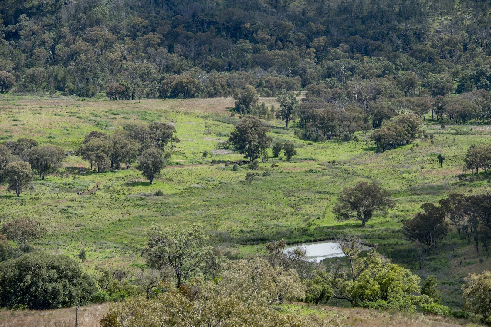 Additional image 38 of 1124 WARKTON ROAD, Coonabarabran NSW 2357