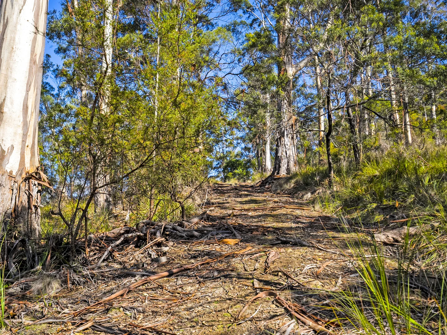 Additional image 2 of 196 Alma Road, Orford TAS 7190