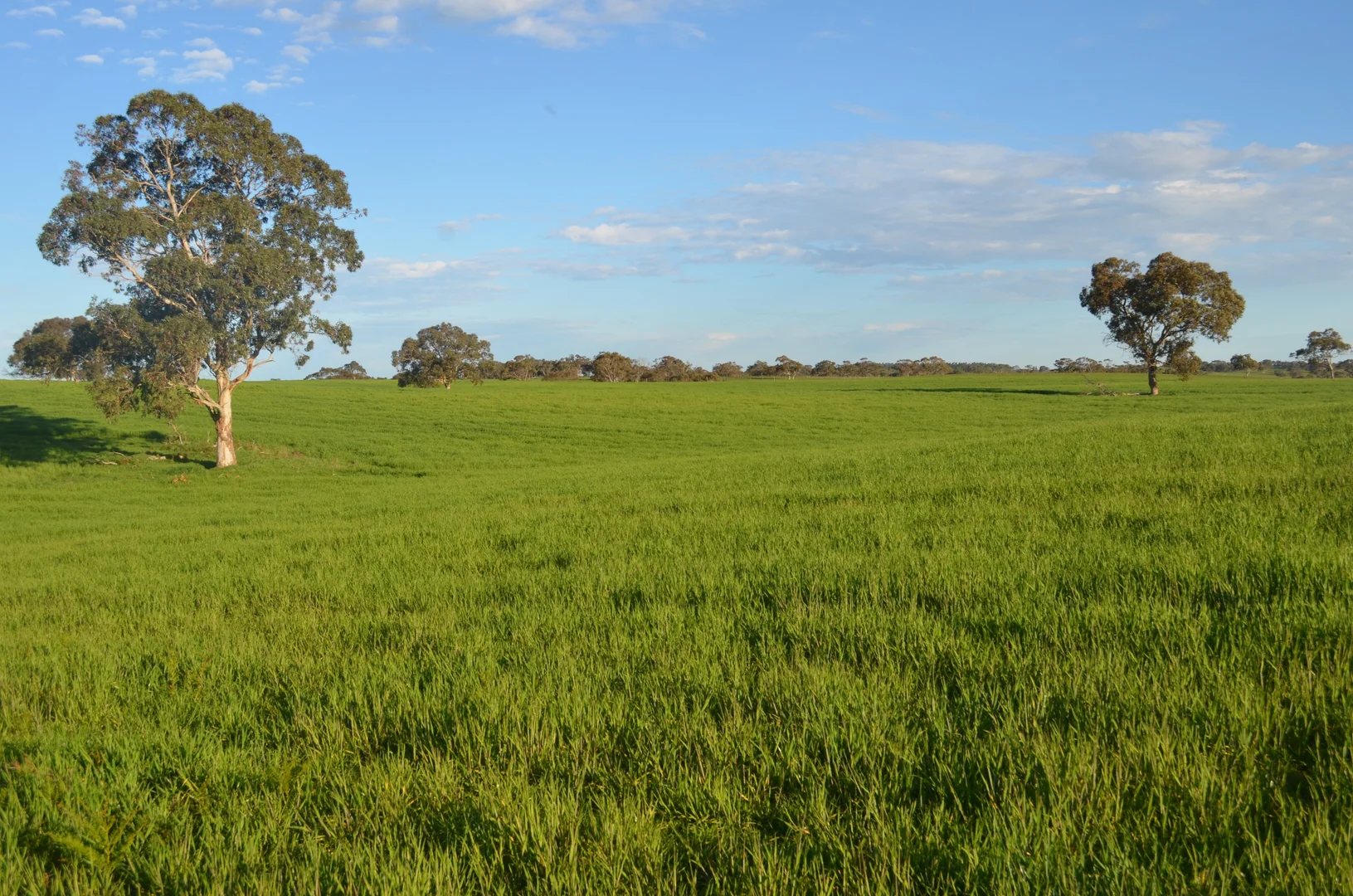 Additional image 4 of Lot 296 Beggs Road, Avenue Range SA 5273