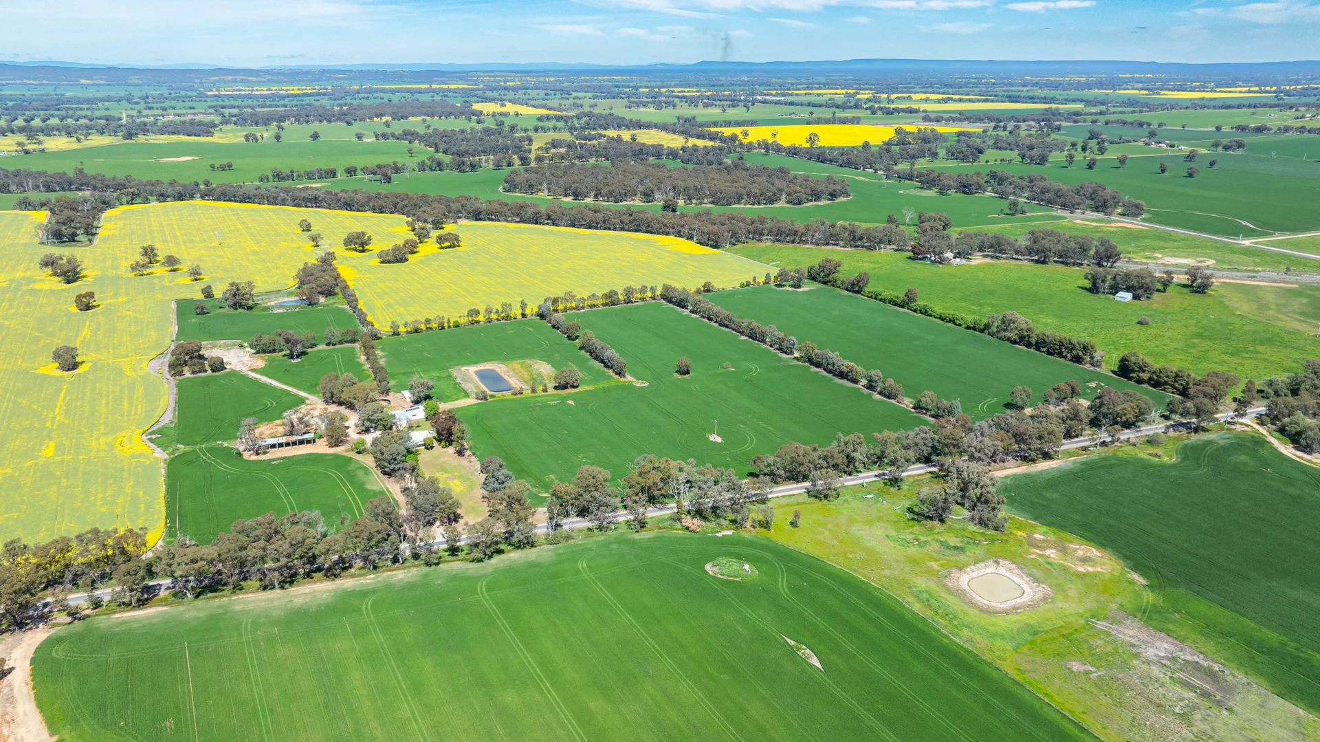 Additional image 15 of 106 Cornishtown Road, Rutherglen VIC 3685