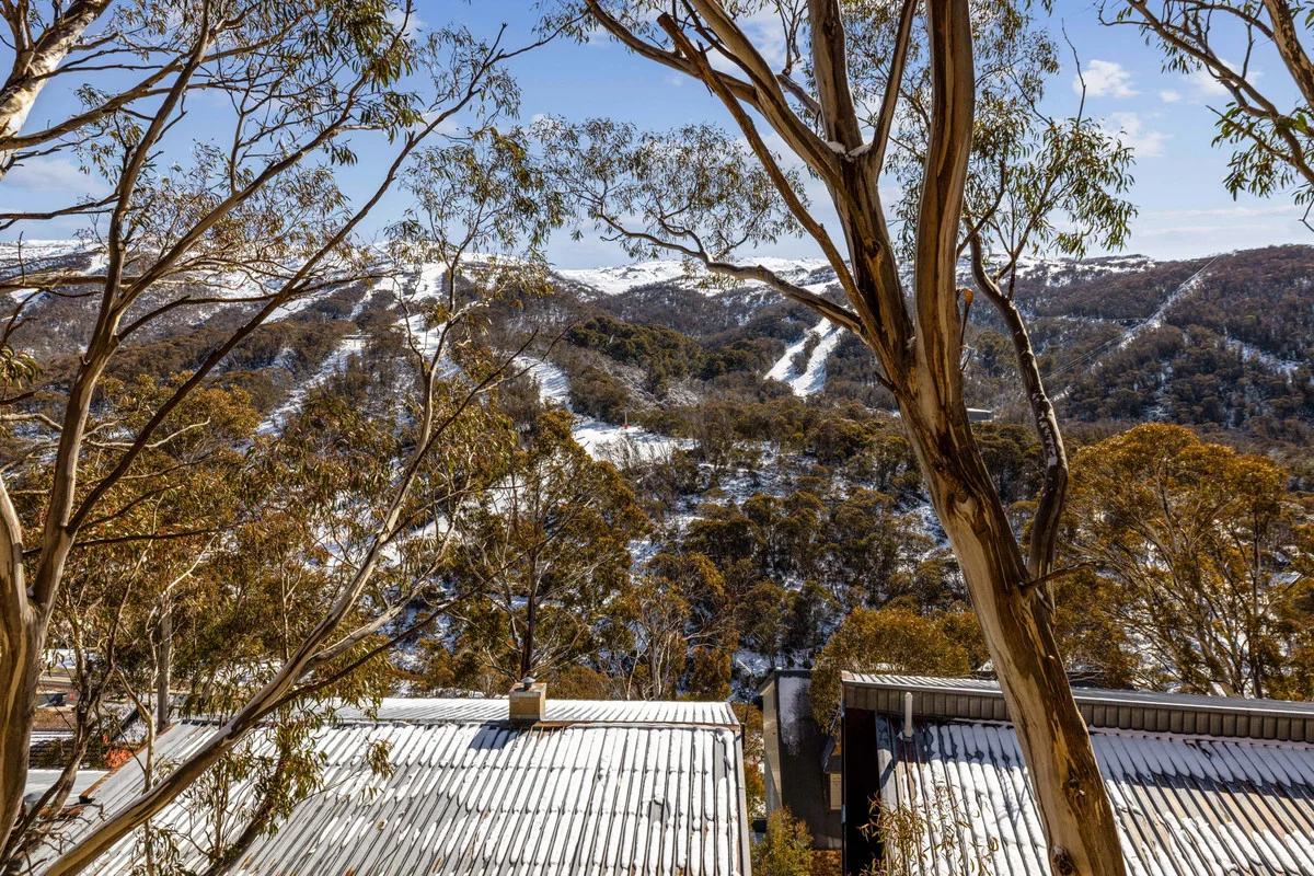 Additional image 11 of 4/15 Alpine Way, Thredbo NSW 2625