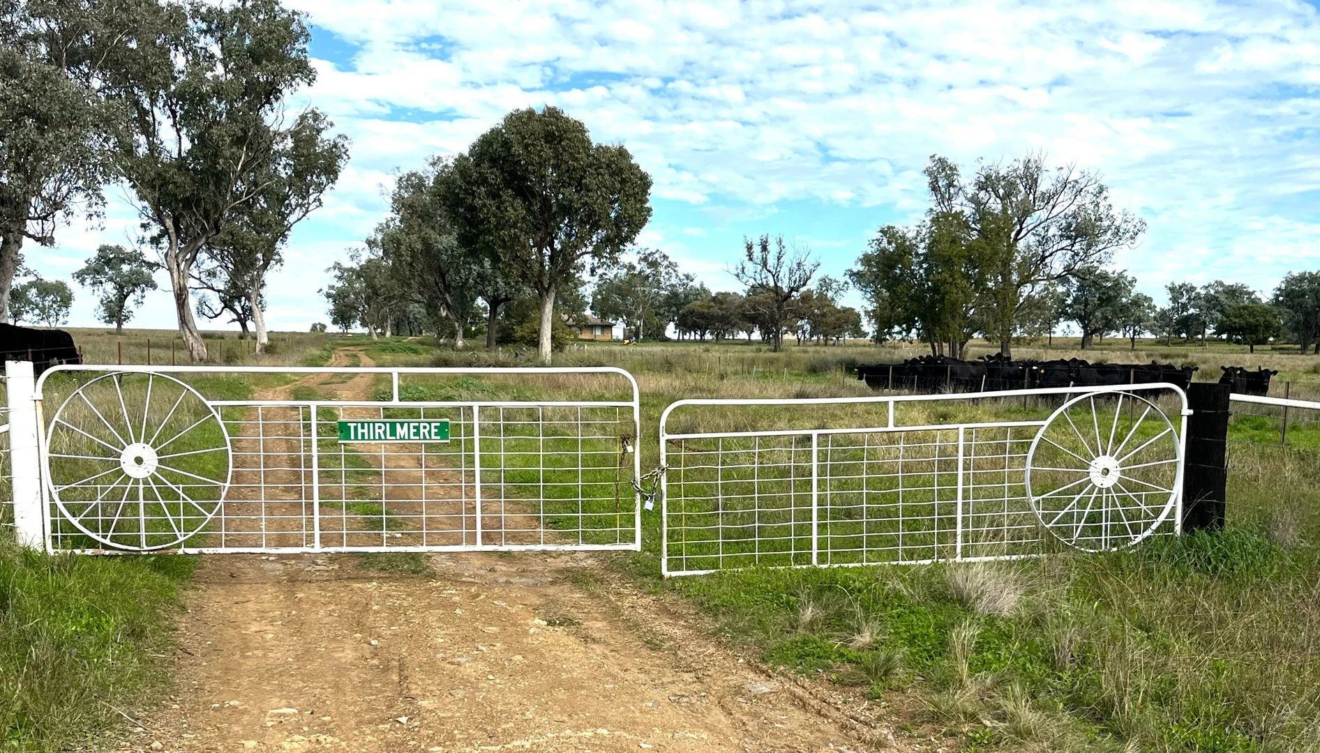 "Thirlmere" 450 Bridges Road, Gunnedah NSW 2380