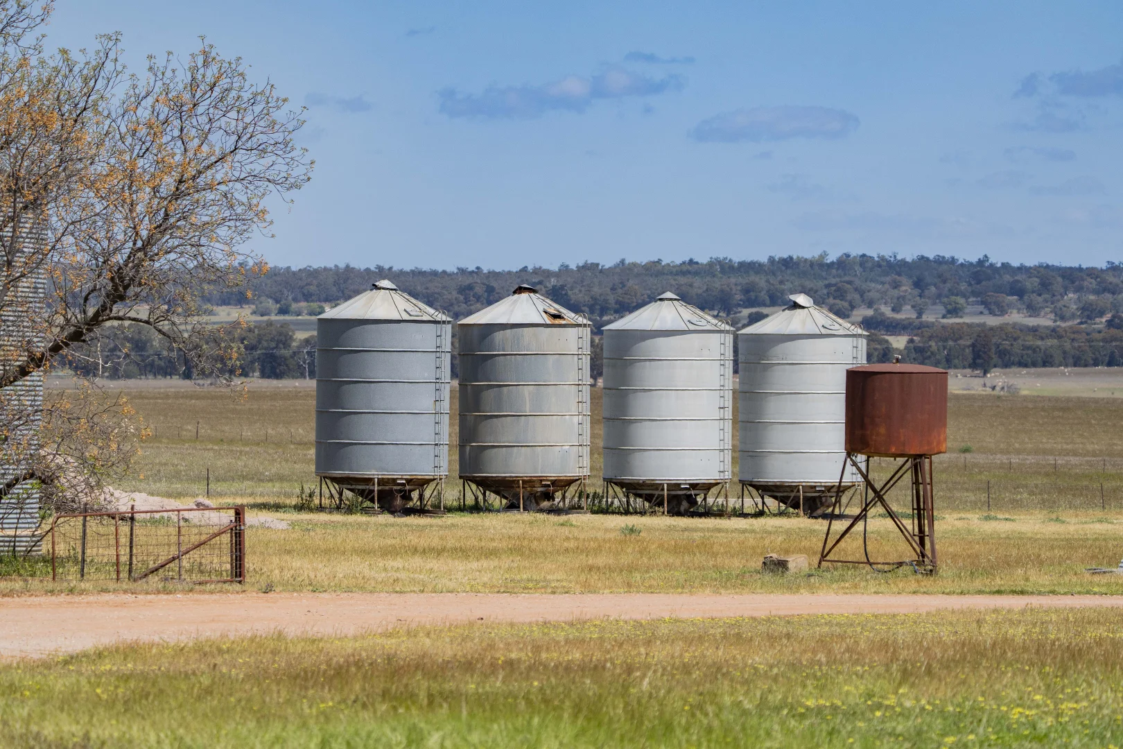 Additional image 9 of 869 Newell Highway, Narrandera NSW 2700