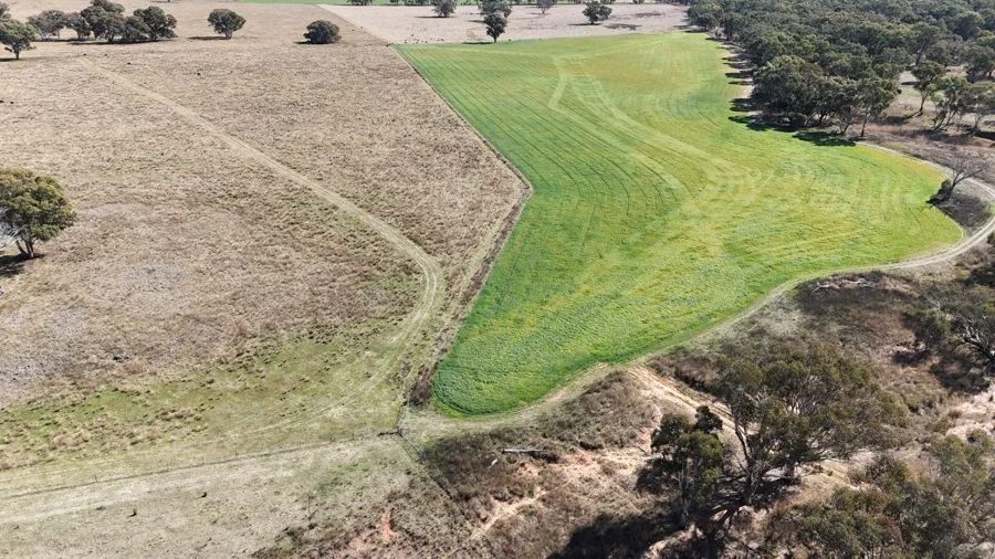 Additional image 5 of 176 Uphills lane Purlewaugh, Coonabarabran NSW 2357