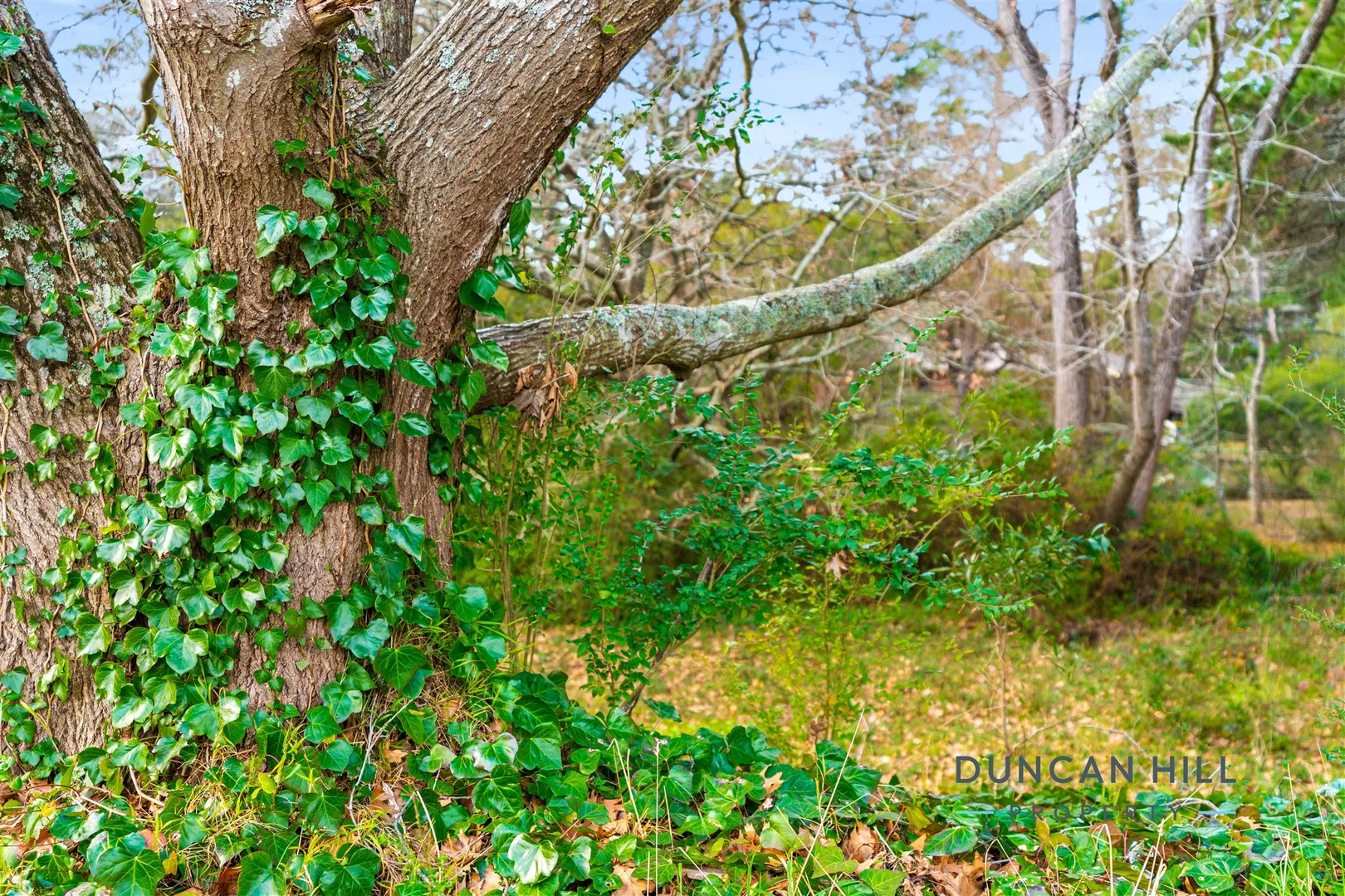 Additional image 5 of 47 Burradoo Road, Burradoo NSW 2576