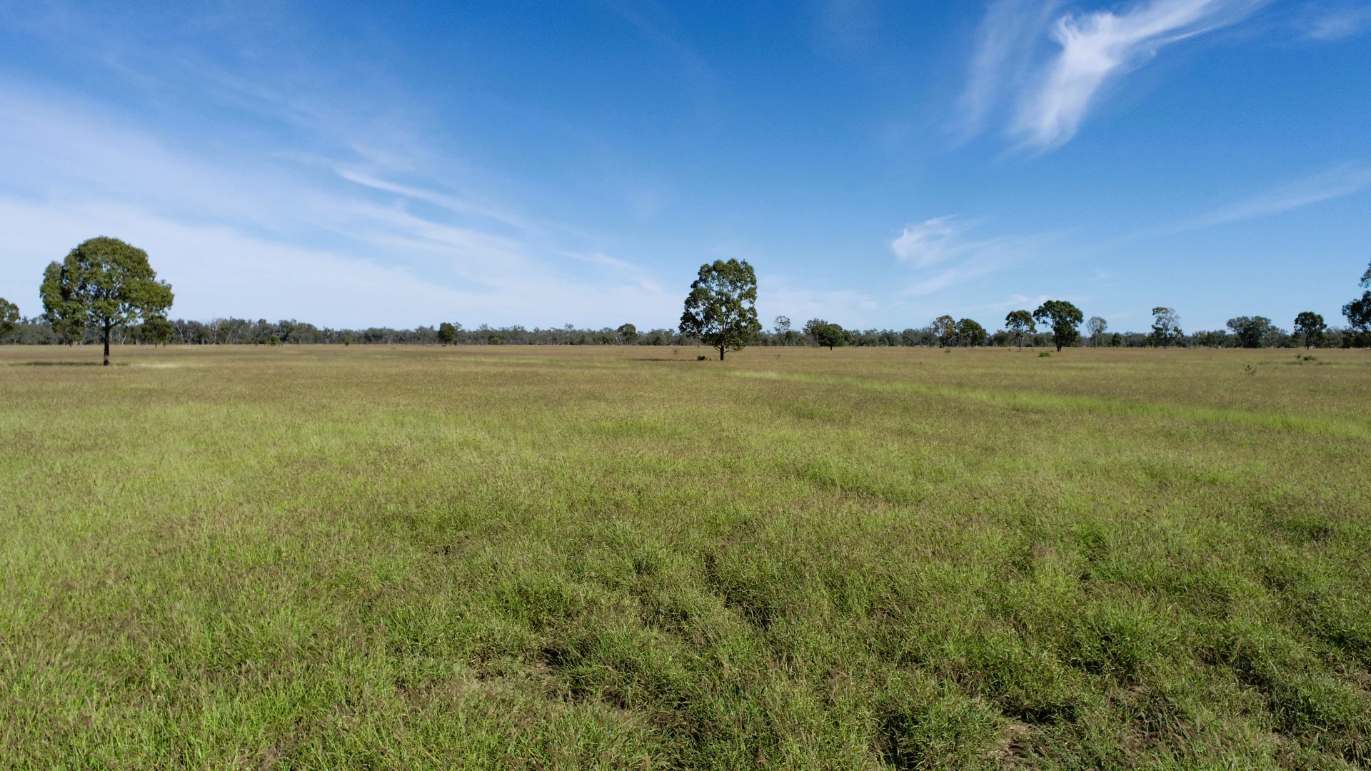 Additional image 18 of 'Glencoe' 28547 Carnarvon Highway, Roma QLD 4455